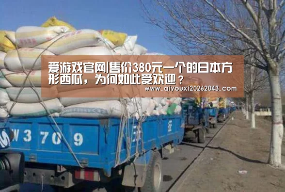 爱游戏赛事