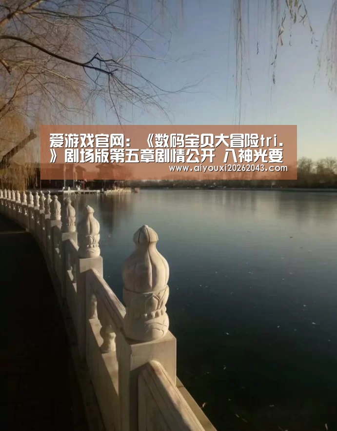 爱游戏官网
