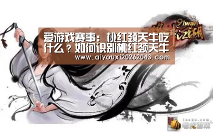爱游戏官网