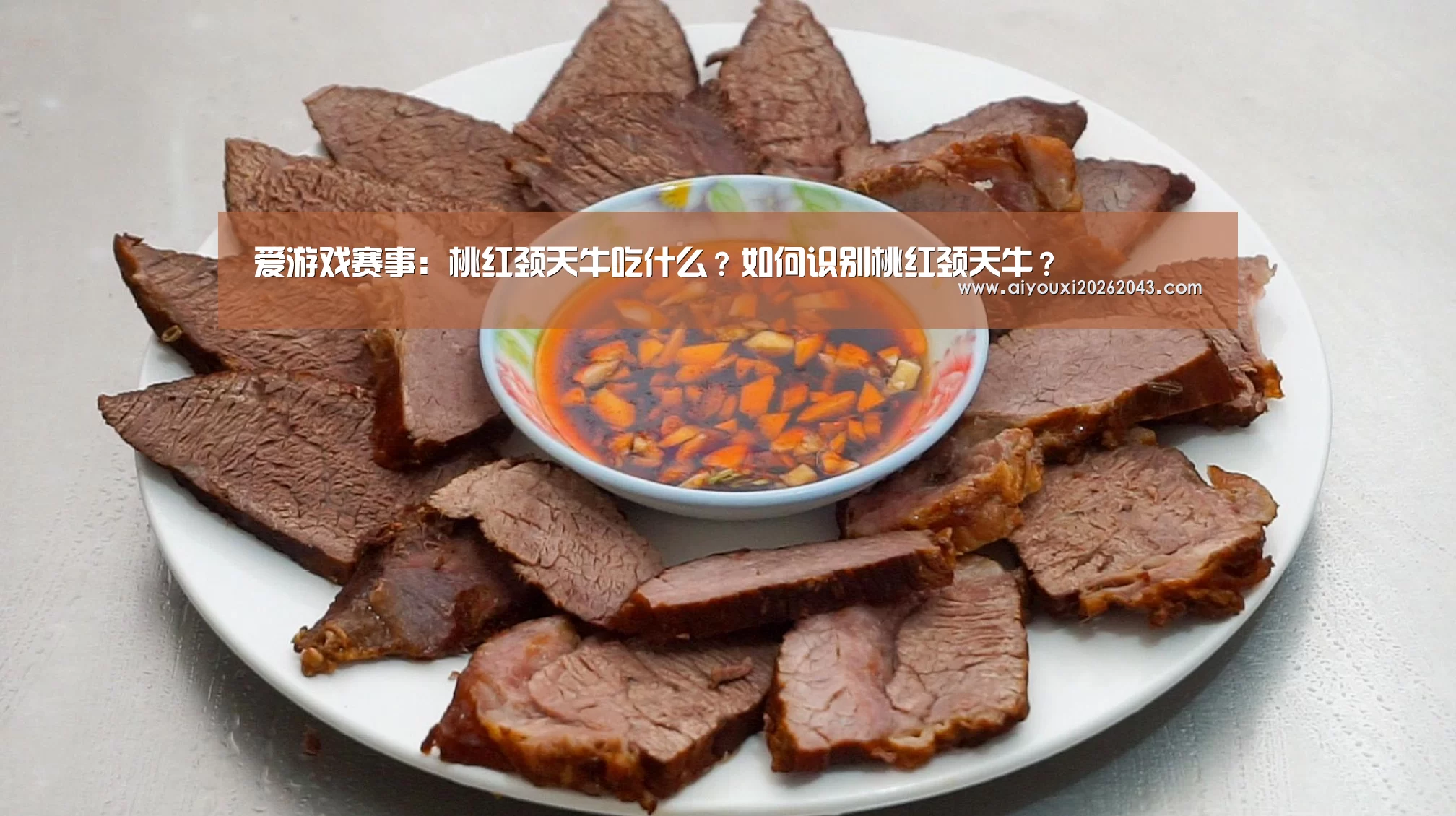 爱游戏体育