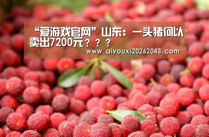 “爱游戏官网”山东：一头猪何以卖出7200元？？？