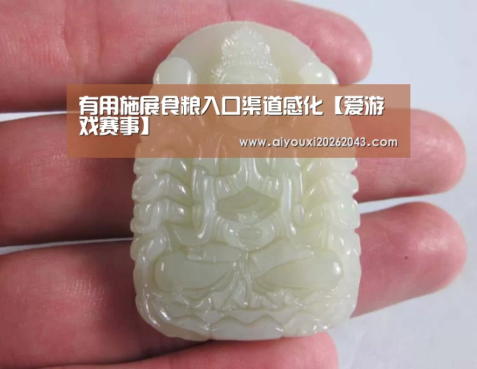 有用施展食粮入口渠道感化【爱游戏赛事】(图2) 爱游戏赛事
